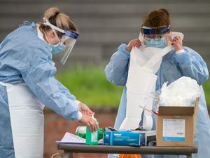 Supporting image for story: Combat coronavirus through mass testing, say scientists