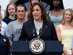 Supporting image for story: Survey shows Kamala Harris has enough support to be the Democratic nominee