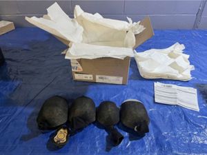 Supporting image for story: Man admits trying to smuggle 850 protected turtles worth £1 million to Hong Kong