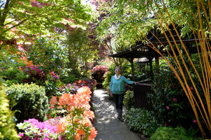 Tony and Marie Newton’s Four Seasons garden in Walsall