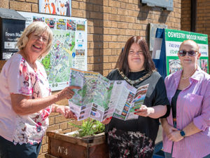 Supporting image for story: Navigating Oswestry just got easier thanks to community partnership