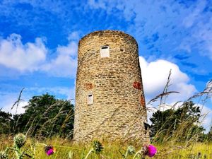 Supporting image for story: Windmill Hill declared a local nature reserve