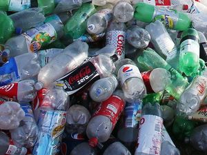 Supporting image for story: Fossilised plastic could be around for 10 million years