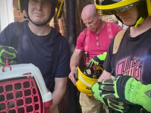 Supporting image for story: Cat called Smokey finally saved by firefighters after 48 hours stuck on a chimney