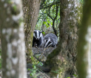 Leaving the set to explore. Photo: JaysCaptures