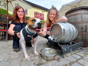 Supporting image for story: Hair of the dog! Ironbridge pub provides watering hole for thirsty pooches