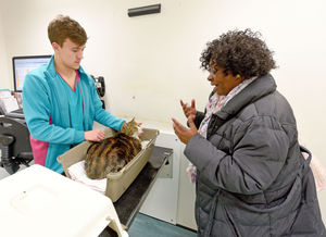 Vet Freddie Allan checks over cat Pempe, with owner Viv Weir