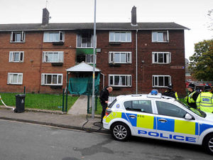 Supporting image for story: Flat fire murder charge