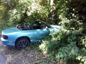 Supporting image for story: Car crashes into hedge in Broseley