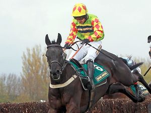 Supporting image for story: Staffordshire hope Saint Are looking just Grand for the National!