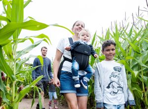 Supporting image for story: Farmarama brings festival feel to Staffordshire attraction 