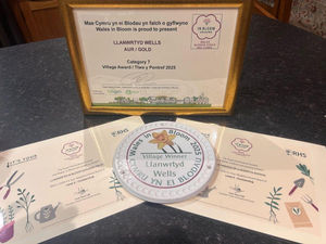 Llanwrtyd Wells' haul of certificates and Wales in Bloom awards