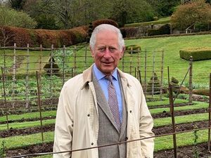 Supporting image for story: Lockdown highlights critical role of plants, Charles tells virtual Chelsea