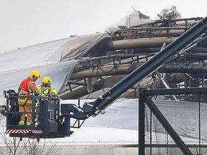 Supporting image for story: Record visitors for Chester Zoo, despite its 'monsoon forest' fire 