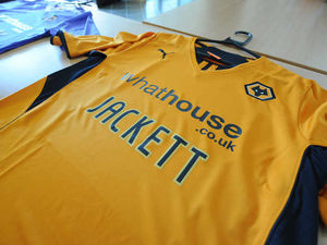 Supporting image for story: Blog: Wolves placed in a safe pair of hands