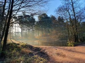 Supporting image for story