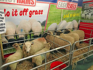Supporting image for story: Our approach to selling rams has totally changed over recent years