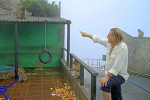 Supporting image for story: TV review: Gibraltar: Britain in the Sun