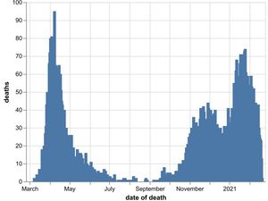 Supporting image for story: 22 more Covid deaths in Black Country, Birmingham and Staffordshire