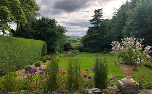 The garden. Picture: Rightmove