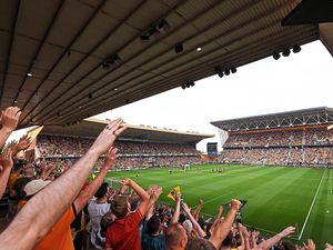 Supporting image for story: 'We came together to fight this': Wolves fan groups celebrate club's season ticket decision