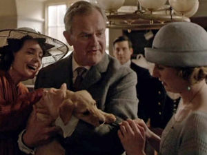 Supporting image for story: Peter Rhodes: A shamrock for remembrance?