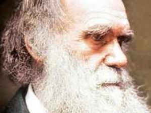 Supporting image for story: Don't forget the other scientists