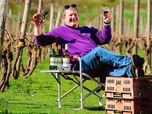 Supporting image for story: Grapevine says that summer has arrived