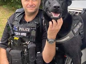 Supporting image for story: 'He will be spoilt rotten!' West Midlands Police dog who was once attacked with a machete and received bravery award set to retire