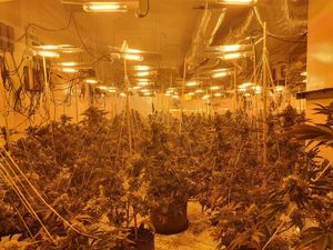 The seized plants and equipment