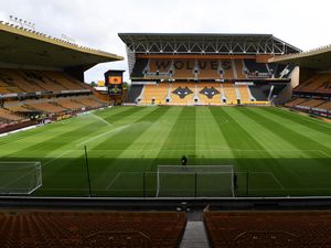 Supporting image for story: Wolves fan banned for throwing pie at rival West Ham supporter