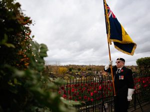 Supporting image for story: Shropshire falls silent to mark Armistice Day