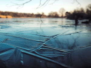 Supporting image for story: Pet owners urged to be careful around ice after dog rescued from freezing water in Stafford