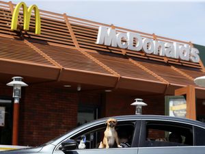 Supporting image for story