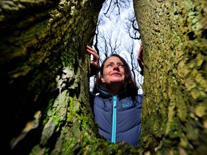 Supporting image for story: Tree adoptions help secure future for woodland