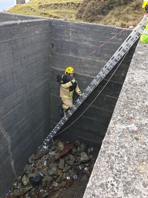  Shaun Harrison from Ludlow Fire Station rescues Pippa