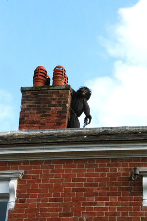 Pattingham Scarecrow Festival returns in September.