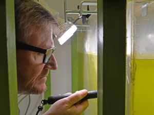 Supporting image for story: Wolverhampton firm taking on climate change with the help of algae