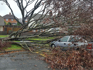 Supporting image for story: West Midlands weather: Storm Angus brings heavy rain and flooding