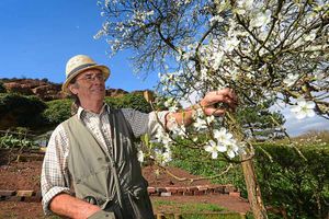 Gardener Phil Brown at the Rock Houses, Kinver