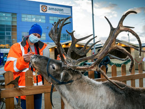 Supporting image for story: Festive fun for Amazon team