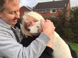 Supporting image for story: Magic! Millie the Jack Russell is found after six-day search
