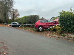Two cars end up in hedge after Wellington crash