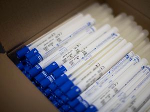Supporting image for story: Increase in Shropshire Covid cases linked to Welsh outbreak