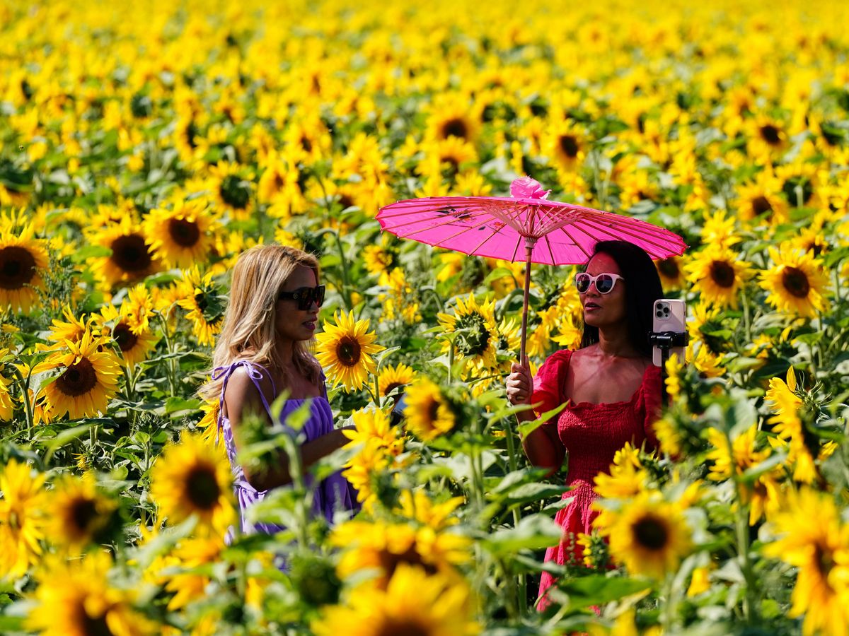Warmest August bank holiday Monday ever for Wales and Northern Ireland