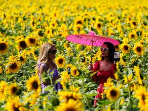 Supporting image for story: Warmest August bank holiday Monday ever for Wales and Northern Ireland