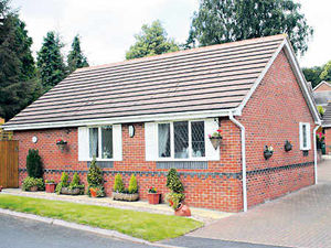 Supporting image for story: Properties of the Week