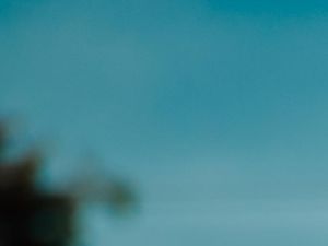 Supporting image for story: Combat Stress: Veterans march in Newport over charity cuts - with video