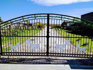 Supporting image for story: All a bit of a disaster: Yorkshire farmer tells of heat and dry weather impact