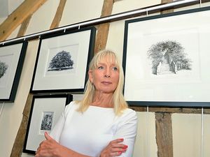 Supporting image for story: Art moves from street to Oswestry exhibition